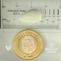 ITLGR_101897_SCALE.webp