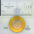IGITL_197780_SCALE.webp