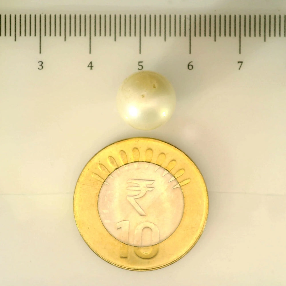 ITLGR_106940_SCALE.webp