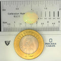 ITLGR_100527_SCALE.webp