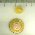 ITLGR_106760_SCALE.webp