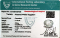ITLGR_100436_CERTIFICATE.webp