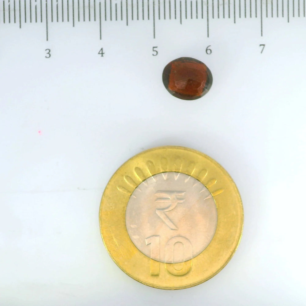 ITLGR_104150_SCALE.webp