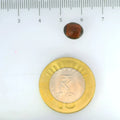 ITLGR_104150_SCALE.webp