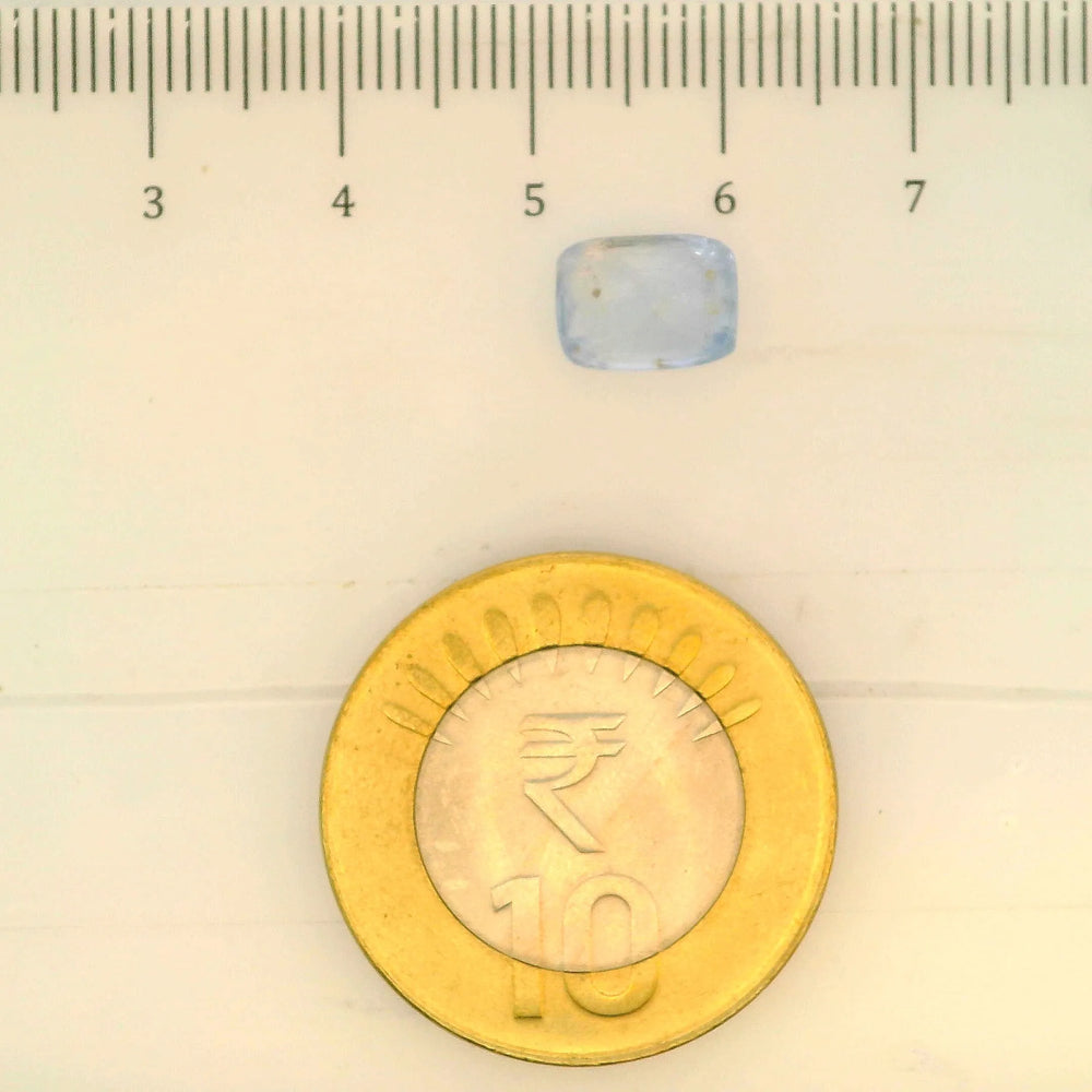 IGITL_197730_SCALE.webp