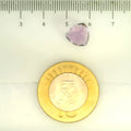 ITLGR_109469_SCALE.webp