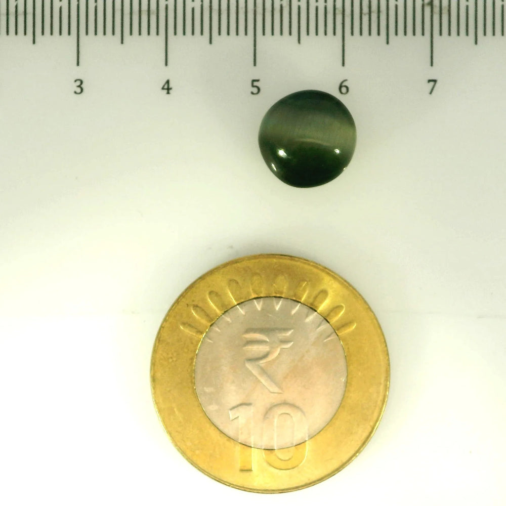 ITLGR_107102_SCALE.webp