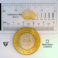 ITLGR_100556_SCALE.webp