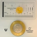 ITLGR_98893_SCALE.webp