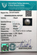 ITLGR_106896_CERTIFICATE.webp