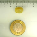 ITLGR_106756_SCALE.webp