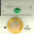 ITLGR_105048_SCALE.webp