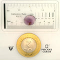 ITLGR_101605_SCALE.webp