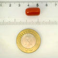 ITLGR_121366_SCALE.webp