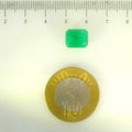 IGITL_205650_SCALE.webp