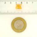 ITLGR_121719_SCALE.webp