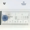 ITLGR_98954_SCALE.webp