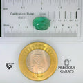 ITLGR_102177_SCALE.webp