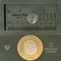 ITLGR_102053_SCALE.webp