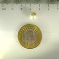 ITLGR_99855_SCALE.webp