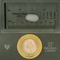 ITLGR_102089_SCALE.webp