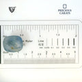 ITLGR_98979_SCALE.webp
