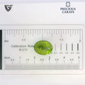 ITLGR_100490_SCALE.webp