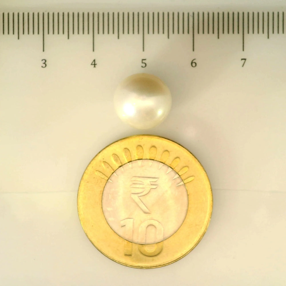 ITLGR_106981_SCALE.webp