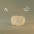IGITL_201527_FRONT.webp
