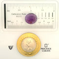 ITLGR_101631_SCALE.webp