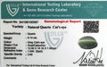 ITLGR_100587_CERTIFICATE.webp