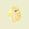 ITLGR_100419_TOP.webp