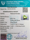 ITLGR_109390_CERTIFICATE.webp