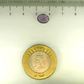 ITLGR_112951_SCALE.webp