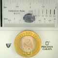 ITLGR_101678_SCALE.webp