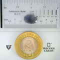 ITLGR_101646_SCALE.webp