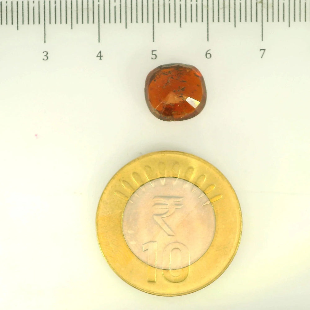 ITLGR_105296_SCALE.webp