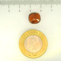 ITLGR_105296_SCALE.webp