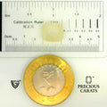 ITLGR_109989_SCALE.webp