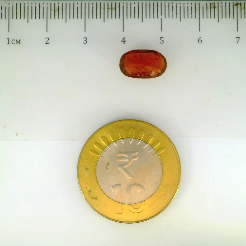 ITLGR_104094_SCALE.webp