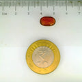 ITLGR_104094_SCALE.webp