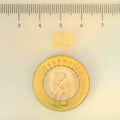 IGITL_200259_SCALE.webp