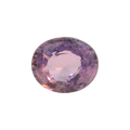 IGITL_200217_FRONT.png