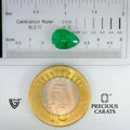 ITLGR_102184_SCALE.webp