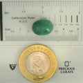 ITLGR_105059_SCALE.webp