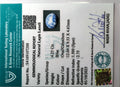 ITLGR_107200_CERTIFICATE.webp