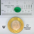 ITLGR_102172_SCALE.webp