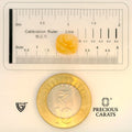 ITLGR_98876_SCALE.webp