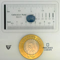 ITLGR_99094_SCALE.webp