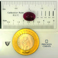 ITLGR_100290_SCALE.webp
